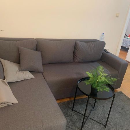 Vila Miletic Vrnjačka Banja Exterior foto