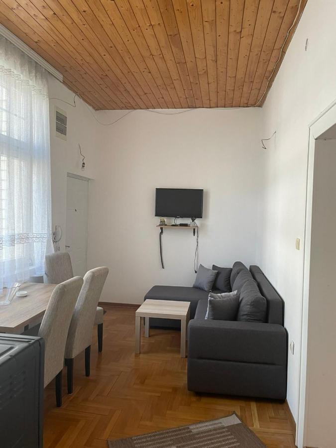 Vila Miletic Vrnjačka Banja Exterior foto