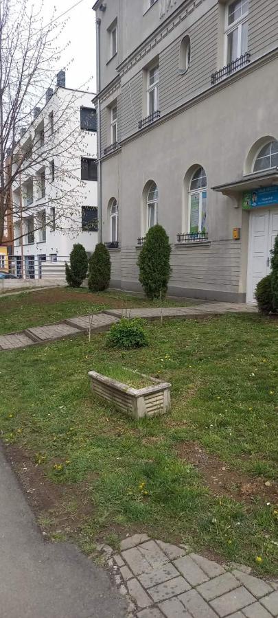 Vila Miletic Vrnjačka Banja Exterior foto