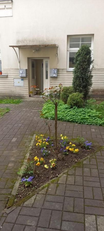 Vila Miletic Vrnjačka Banja Exterior foto