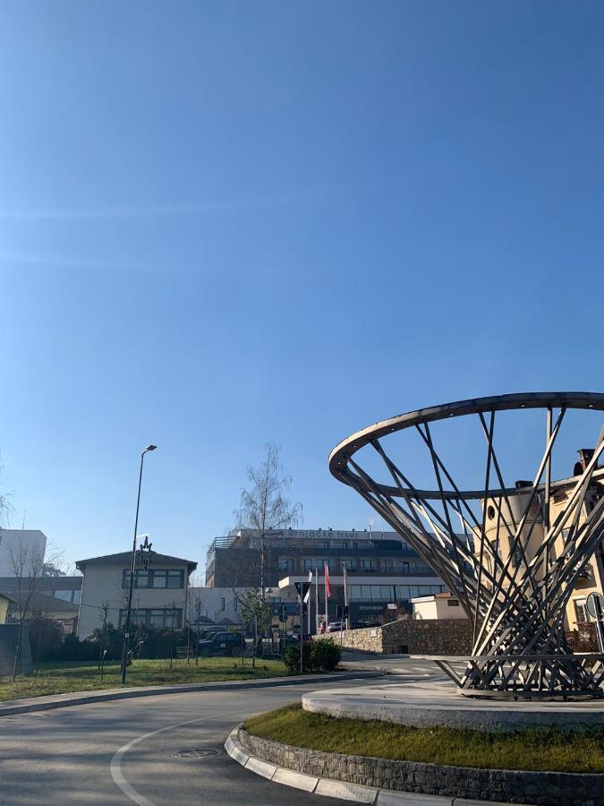 Vila Miletic Vrnjačka Banja Exterior foto